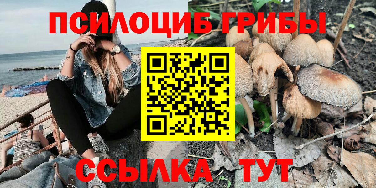 Галлюциногенные грибы Psilocybine cubensis  Галлюциногенные грибы Magic Shrooms  купить наркотик  Вход с VPN  Гай 