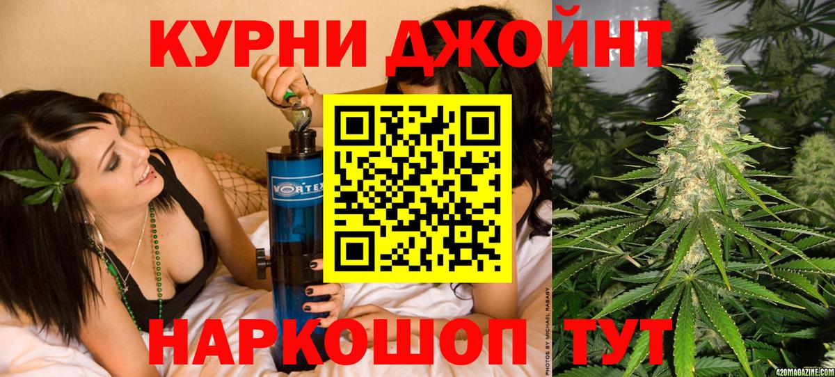 Шишки марихуана план Гай